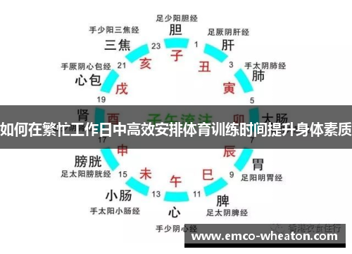 如何在繁忙工作日中高效安排体育训练时间提升身体素质