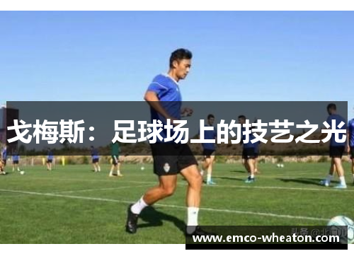 戈梅斯：足球场上的技艺之光
