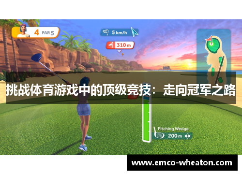 挑战体育游戏中的顶级竞技：走向冠军之路