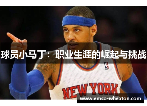 球员小马丁：职业生涯的崛起与挑战
