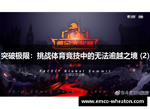 突破极限：挑战体育竞技中的无法逾越之境 (2)