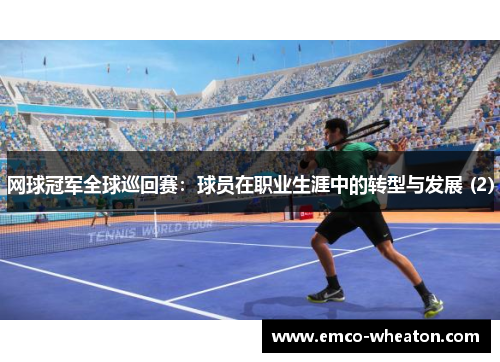 网球冠军全球巡回赛：球员在职业生涯中的转型与发展 (2)