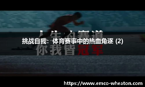 挑战自我：体育赛事中的热血角逐 (2)