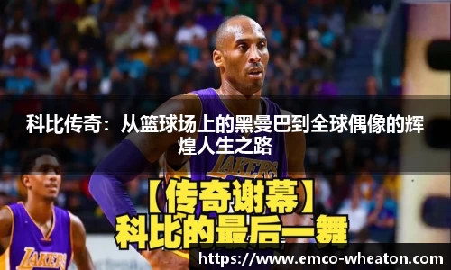 bg视讯app下载