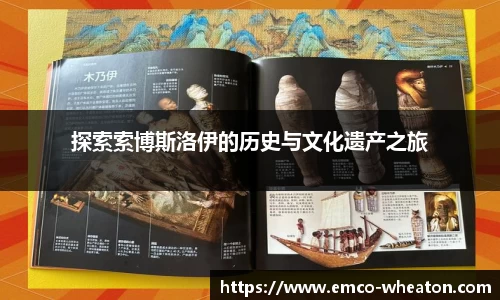 333官网