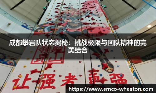 333官网